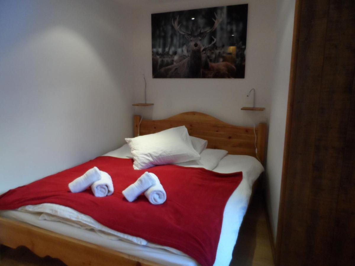 Prachtig Familie Appartement Voor 6 Personen In Het Hart Van Argentiere, Chamonix Mont-Blanc Exteriör bild